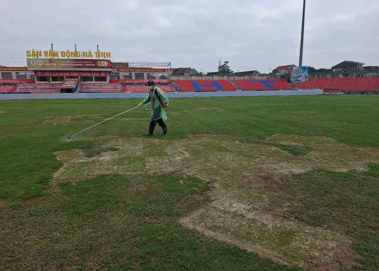 Ha Tinh Stadium on the morning of February 27 is being sprayed with stimulants to help the grass grow. Photo: Tran Tuan
