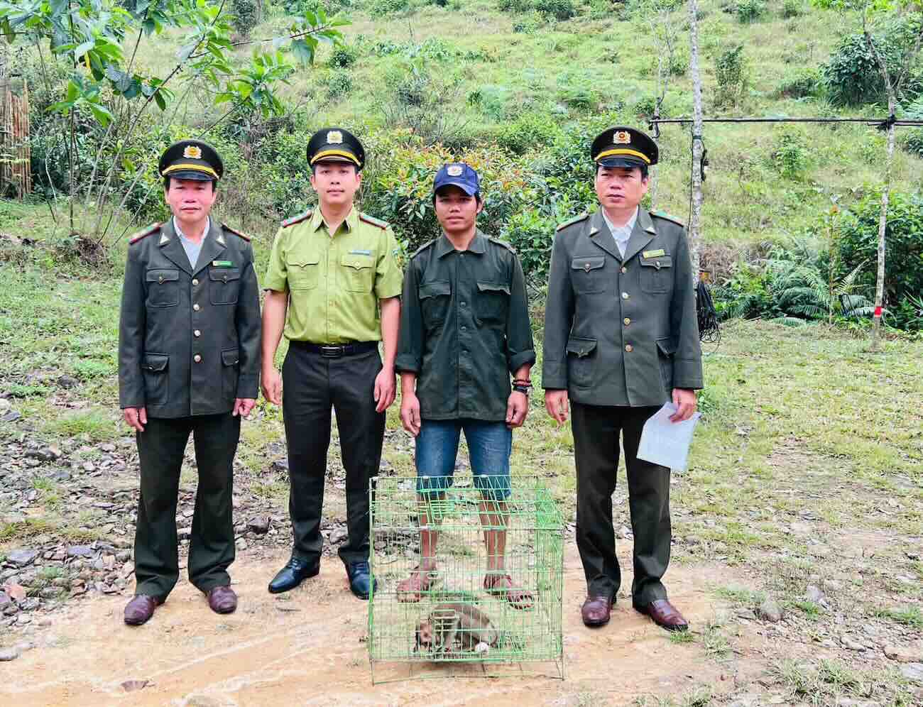 The forest rangers received a rare red-faced monkey from the people. Photo: Provided by the Forest Rangers.