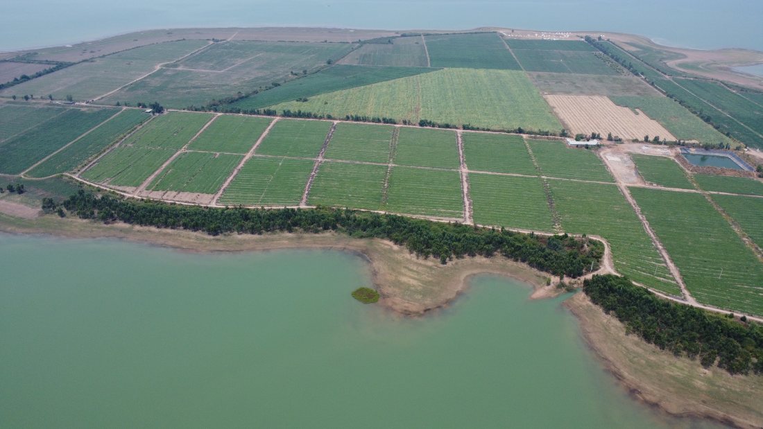 Planning Tha La peninsula to build an eco-tourism area. Photo: Nguyen Trung