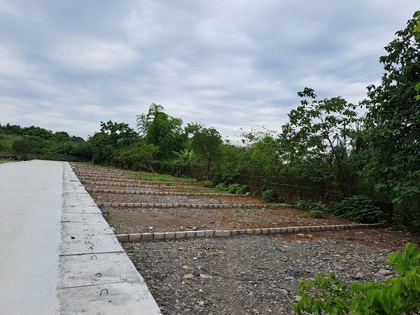 Prices have fallen sharply after the land price fever, many investors have suffered heavy losses. Photo: Luc Giang