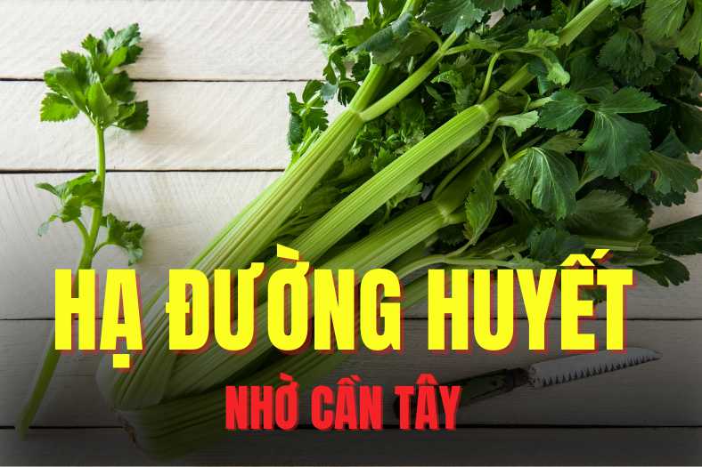 Celery is one of the foods that can effectively support lowering blood sugar. Graphics: Tra My