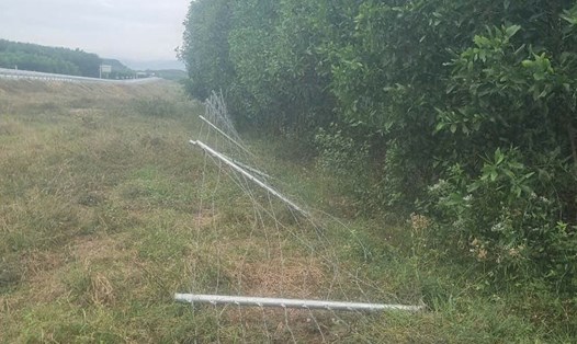 Kẻ trộm đột nhập lấy hàng rào cao tốc Vân Phong - Nha Trang. Ảnh: Tân Tiềm