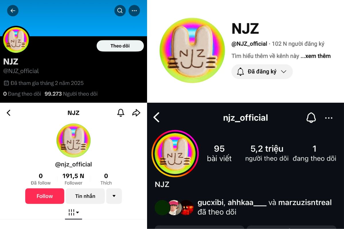 NJZ hien co tai khoan chinh thuc tren 4 nen tang Twitter, YouTube, TikTok, Instagram. Anh: X