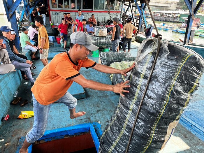 Trung binh moi nam ngu dan xa Binh Chanh khai thac gan 4.000 tan muc kho. Anh: Vien Nguyen.