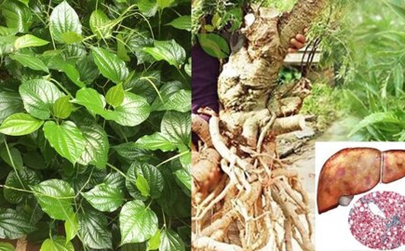 3 cheap medicine but reduce arthritis pain