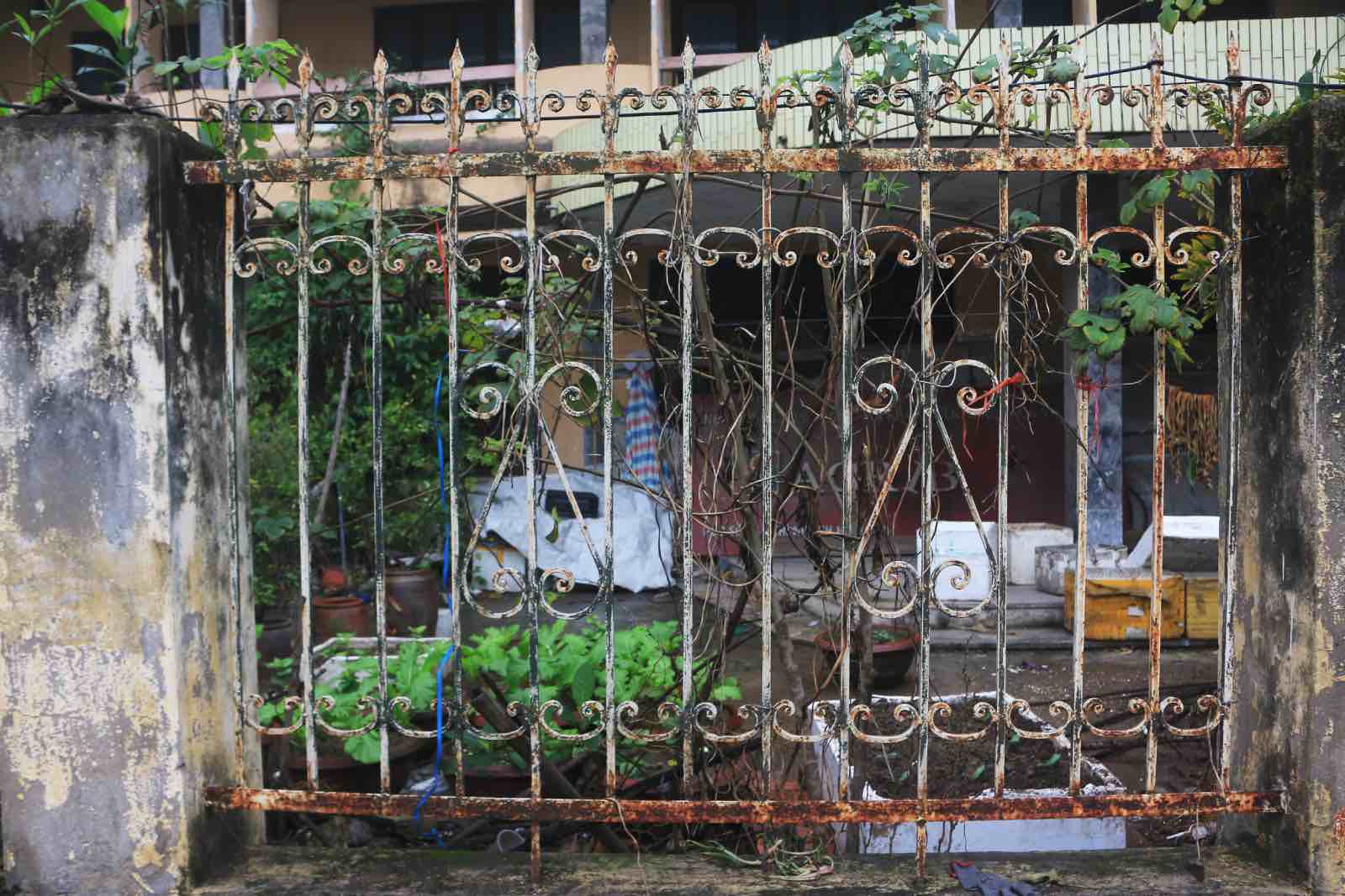 Hàng rào hoen gỉ. 