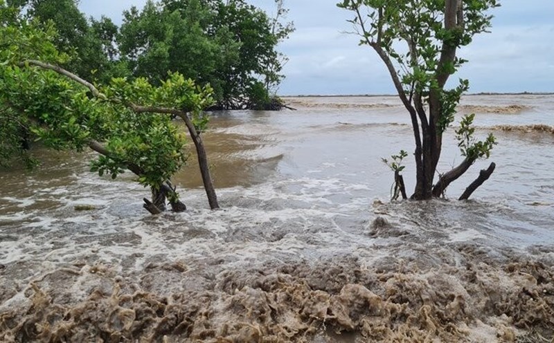 A section of the West Sea dike, Ca Mau was eroded. Photo: Nhat Ho
