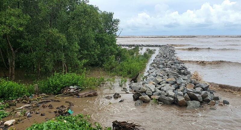 Mot doan de bien Tay, Ca Mau dang duoc thuc hien ke. Anh: Nhat Ho