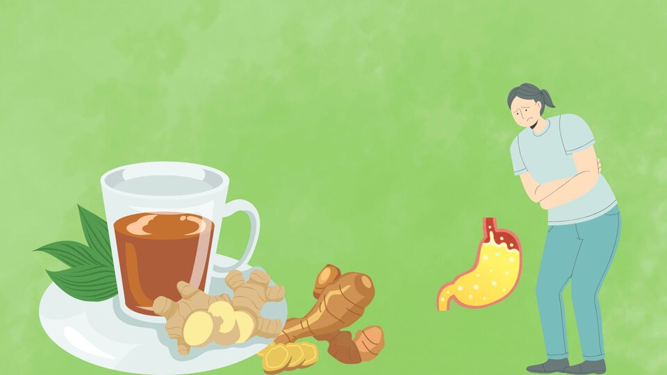 The effect of ginger in reducing heartburn and bloating. Graphics: Minh Chau