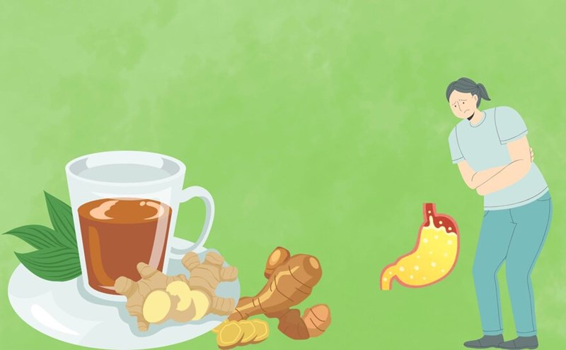 The effect of ginger in reducing heartburn and bloating. Graphics: Minh Chau