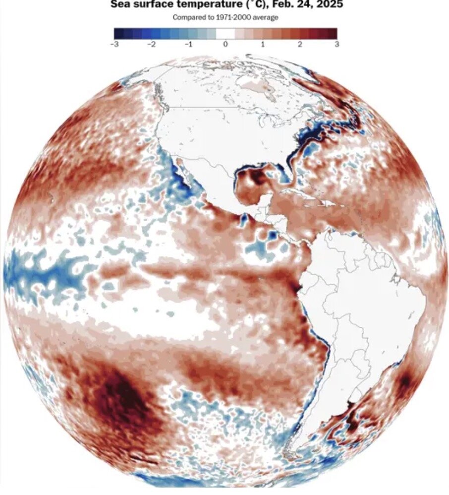 Du bao La Nina suy yeu va khong tac dong toi mua bao 2025 o Dai Tay Duong. Anh: NOAA