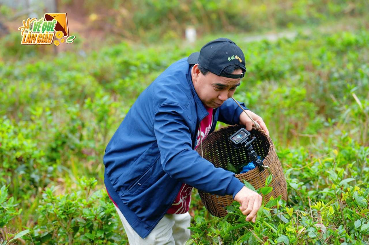 Quyền Linh trải nghiệm tại làng chè ở Quảng Ninh. Ảnh: Nhà sản xuất.