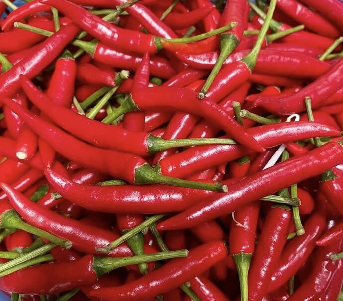 Spicy peppers can support fat burning and effective weight loss. Photo: Kieu Vu