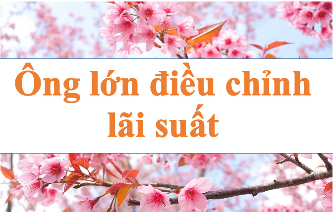 Techcombank giant reduces interest rates. Photo: Ha Vy