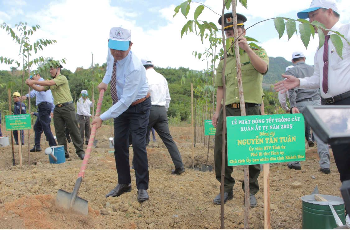 Chu tich UBND tinh Khanh Hoa huong ung Tet trong cay. Anh: Phuong Linh