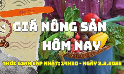 Giá nông sản hôm nay ngày 3.2.2025. Ảnh: Lam Hồng