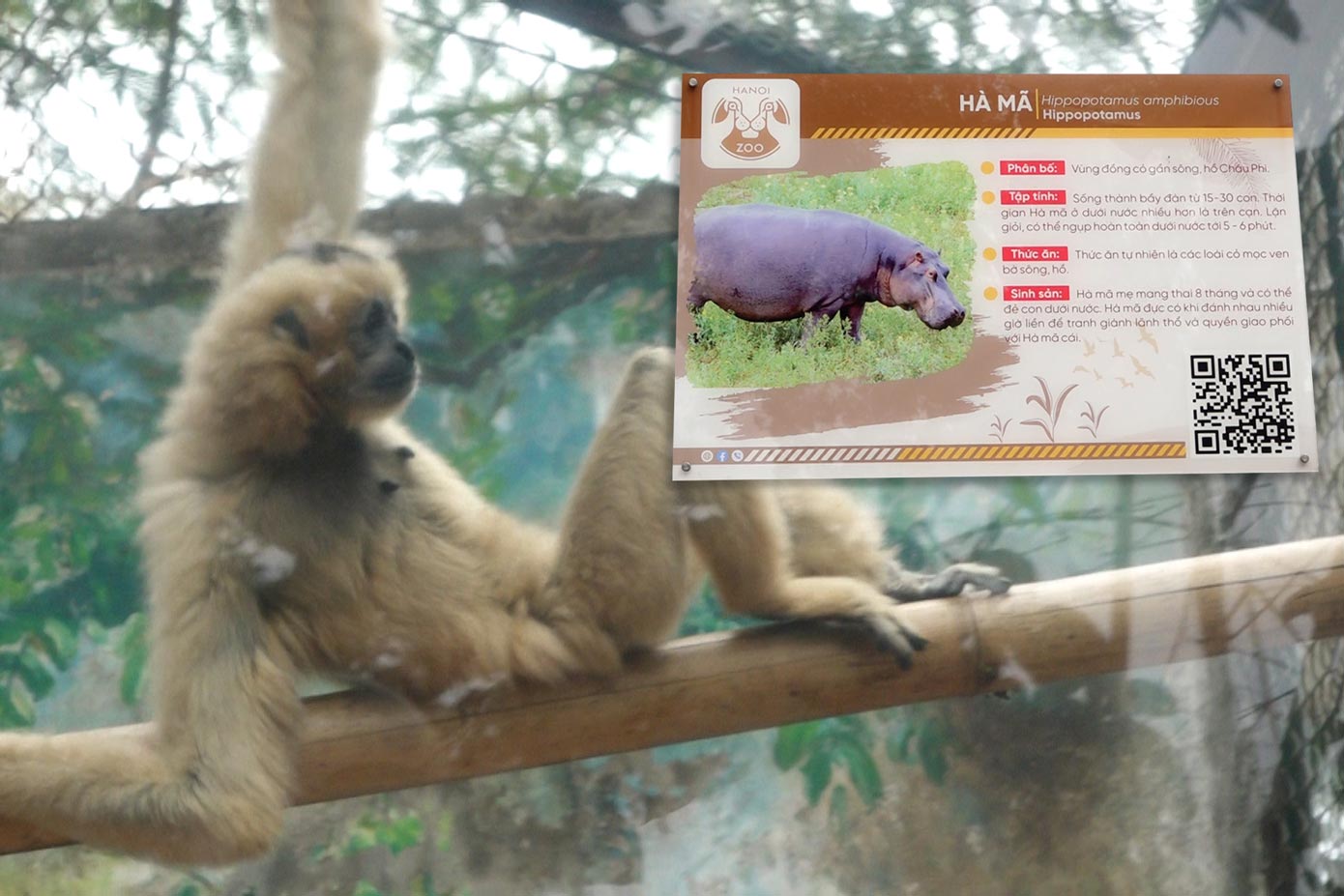 Revealing a place where many people both study and play