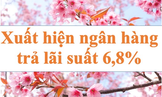 Xuất hiện mức lãi suất 6,8%. Ảnh: Hà Vy
