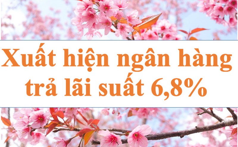 Interest rate of 6.8% appears. Photo: Ha Vy