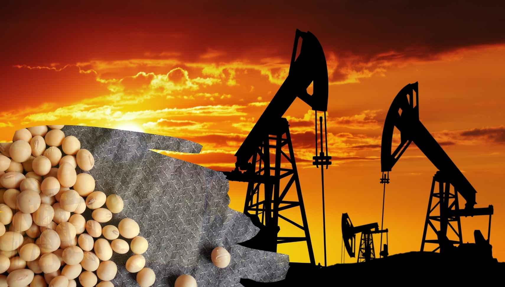 World commodity prices fluctuated strongly after the US postponed imposing tariffs on Mexico and Canada. Design: Thanh Binh.