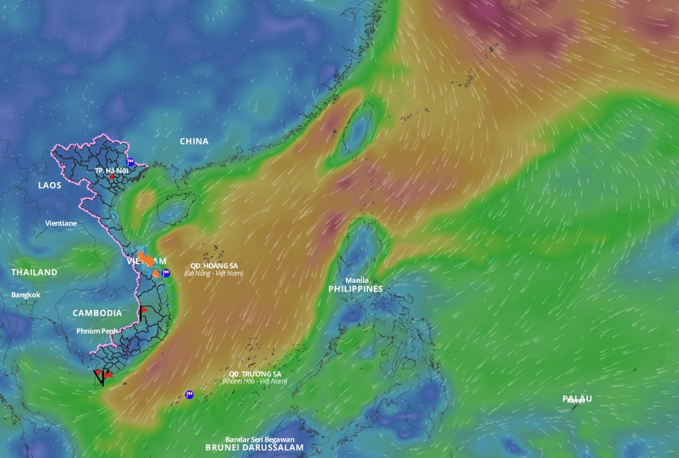 Cold air is forecast to cause bad weather in many areas of the East Sea. Above is the image of the wind direction layer over the sea updated at 11am on February 4. Photo: Vietnam Natural Disaster Monitoring System