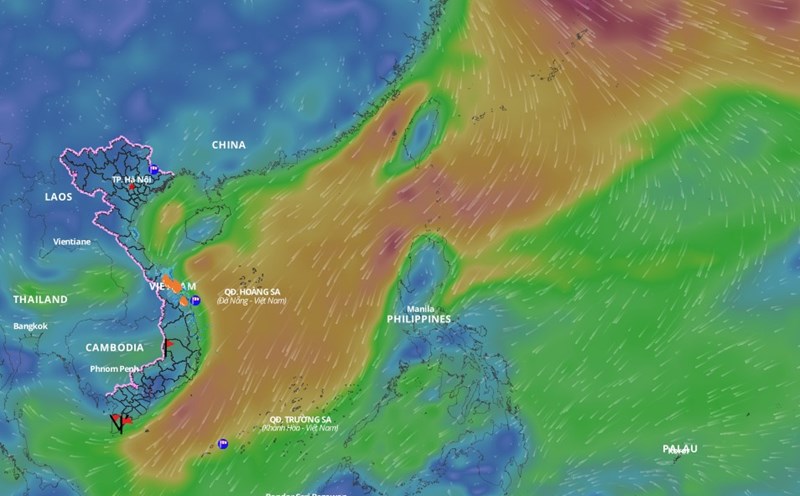 Cold air is forecast to cause bad weather in many areas of the East Sea. Above is the image of the wind direction layer over the sea updated at 11am on February 4. Photo: Vietnam Natural Disaster Monitoring System
