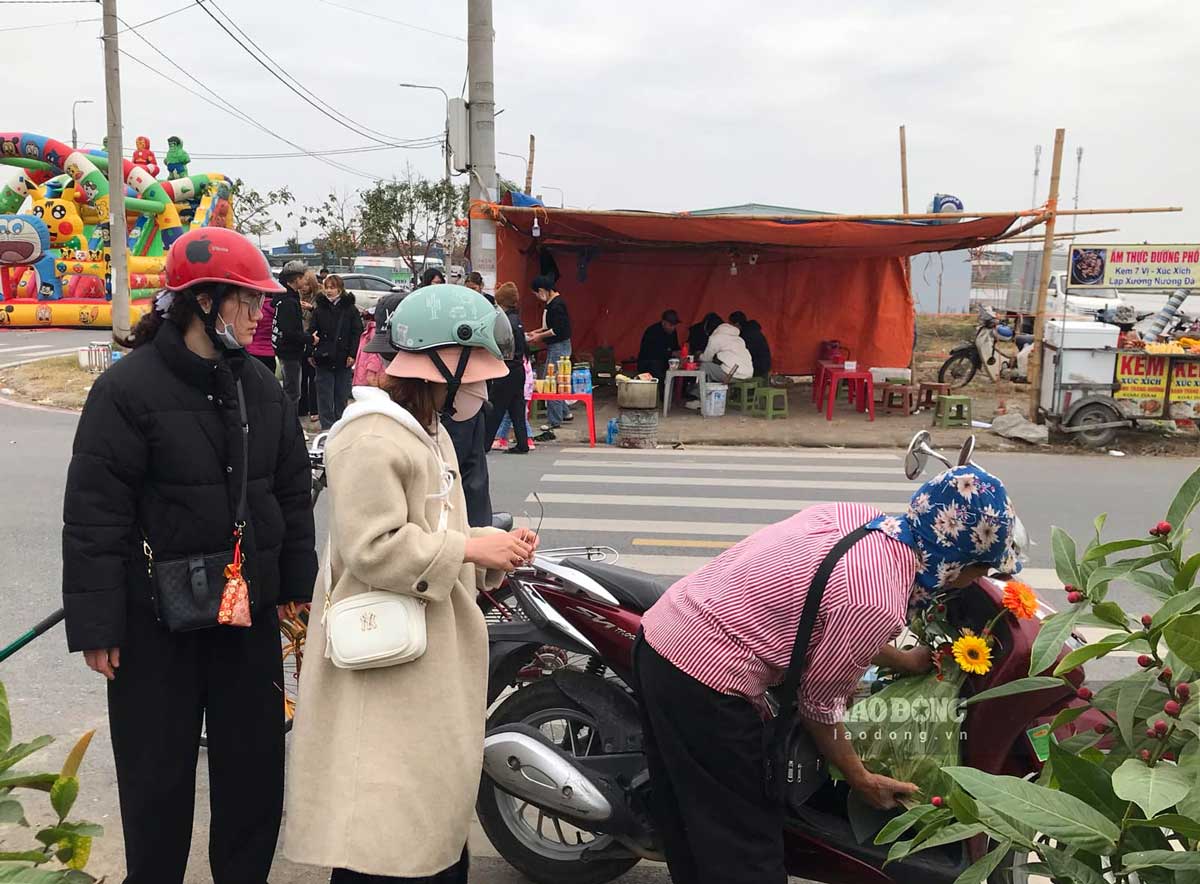 Hoa dong tien duoc nhieu nguoi chon mua o cho Vieng Phu. Anh: Luong Ha