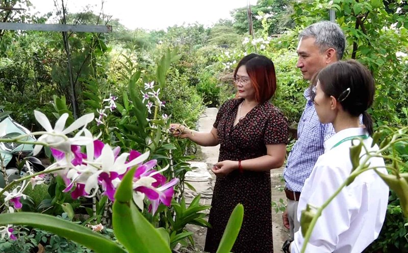 This field of study is in great need of human resources