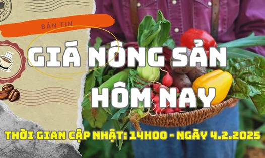 Giá nông sản hôm nay ngày 4.2.2025. Ảnh: Lam Hồng