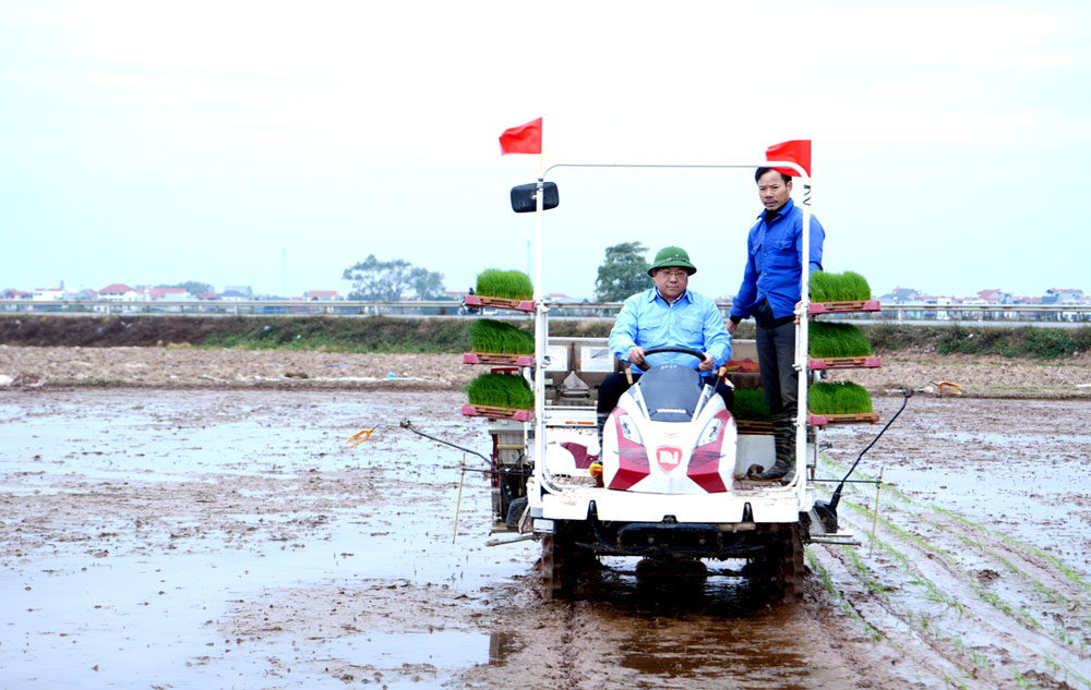 Chu tich UBND tinh Tran Duy Dong xuong dong cay may, dong vien ba con nong dan xa Phu Xuan trong ngay hoi xuong dong dau Xuan moi. Anh: Chu Kieu 