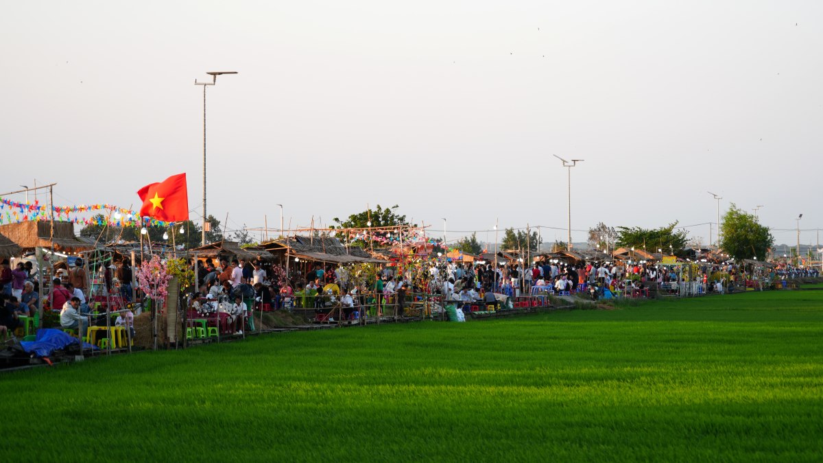 Sau thoi gian tam ngung do vao mua mua bao, cho que tren canh dong An Nhut (xa Tam An, huyen Long Dat) vua mo cua tro lai, thu hut dong dao nguoi dan, du khach ghe den thuong thuc vao moi buoi chieu. Anh: Thanh An