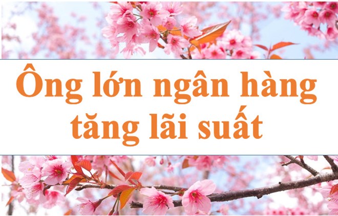 Lãi suất ngân hàng hôm nay 5.2: Ông lớn tăng lãi suất