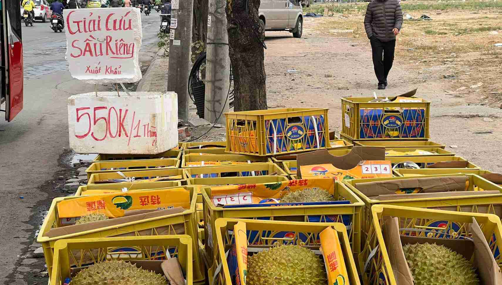 Nhiều lô hàng xuất khẩu sầu riêng phải “quay xe” tiêu thụ ở thị trường nội địa. Ảnh: Khánh Linh. 