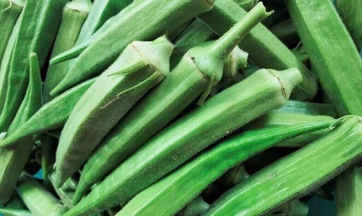 Loại đậu này có thể hỗ trợ giảm mỡ nội tạng và mỡ bụng. Ảnh: Kiều Vũ