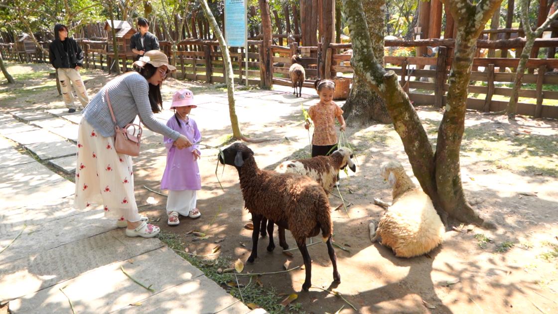 Tourist attractions in Can Tho are still crowded with visitors after Tet