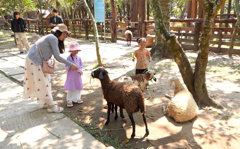 Tourist attractions in Can Tho are still crowded with visitors after Tet