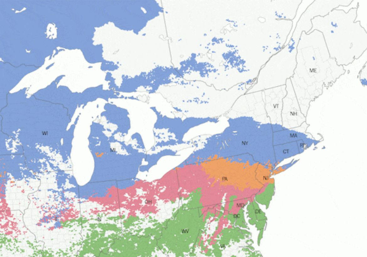 Storm brings snow and ice to more than a dozen US states from February 5-6, 2025. Photo: NOAA