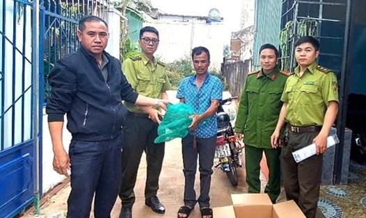 Người dân giao nộp con tê tê quý cho cơ quan chức năng. Ảnh: Thanh Tuấn