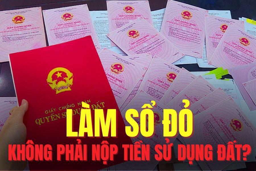 3 trường hợp làm sổ đỏ không phải nộp tiền sử dụng đất. Đồ họa: Hoài Lan