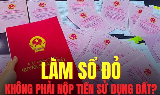 3 trường hợp làm sổ đỏ không phải nộp tiền sử dụng đất. Đồ họa: Hoài Lan