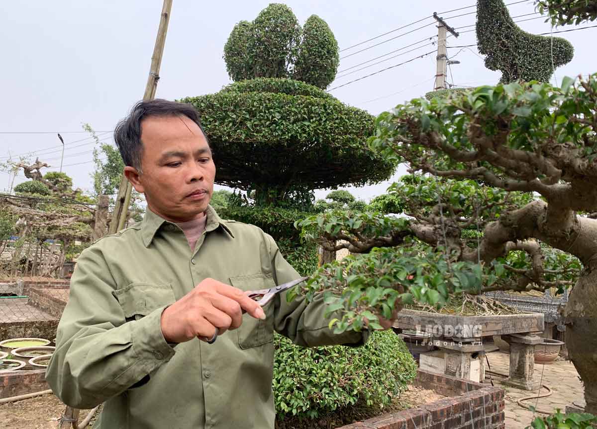 Ong Nguyen Thanh Van va nhung tac pham cay nghe thuat do ong tu tay lam. Anh: Ha Vi