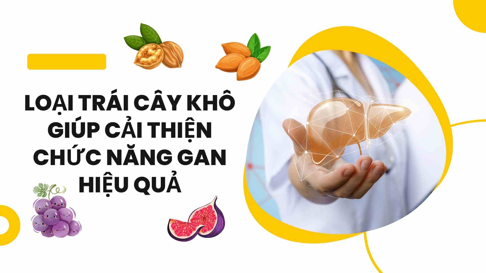 Dried fruit helps improve liver function effectively