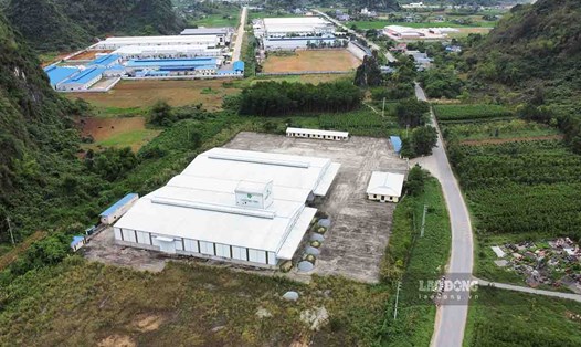 Cụm công nghiệp Phúc Ứng tại huyện Sơn Dương (Tuyên Quang) đã đi vào hoạt động.