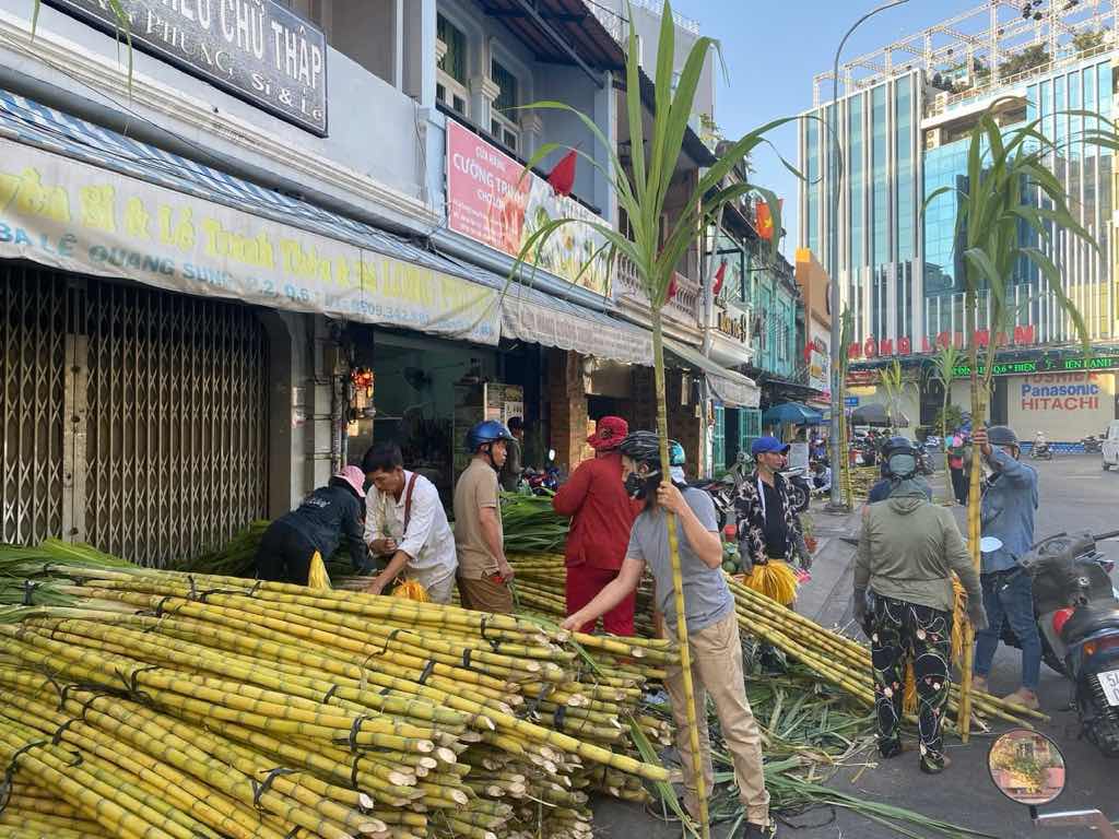 Theo kinh nghiem cua nguoi dan, khi chon mia vang phai chon nhung cay thang, ngon deu nhau va mau sac phai vang uom. Anh: Minh Tam.