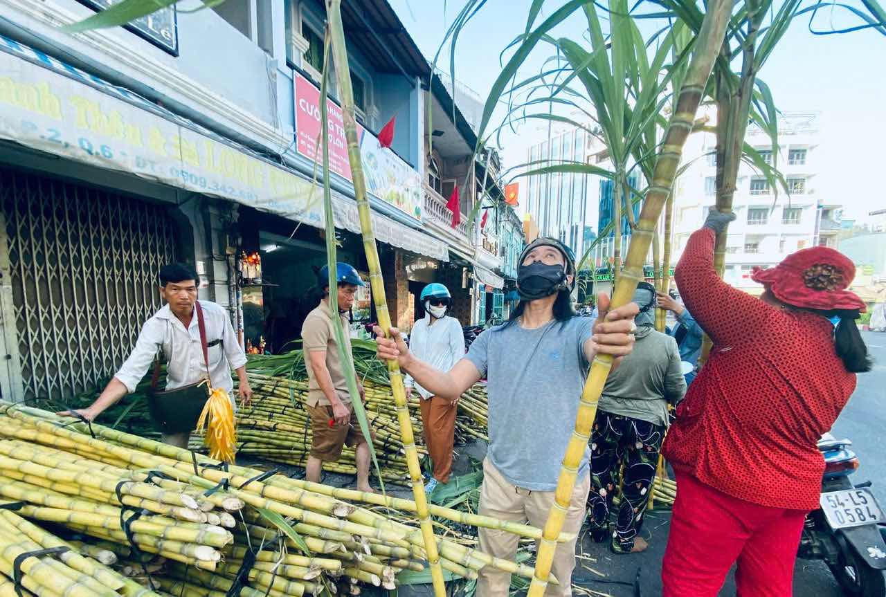 Nhieu nguoi dan khu vuc Cho Lon da co mat tu som de lua nhung cay mia vang dep, thang tap, vang uom de ve sap le, cung gia tien. Anh: Minh Tam.