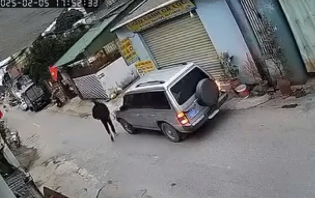 Frustrated because the blue-plate car parked in front of the house, the owner in Vinh City argued and argued with the driver. Photo cut from clip.