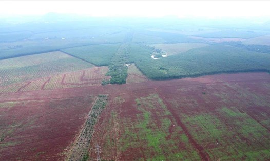 Khu đất Cụm công nghiệp Long Giao ở huyện Cẩm Mỹ, tỉnh Đồng Nai được đấu giá khởi điểm hơn 788 tỉ đồng. Ảnh tư liệu: HAC