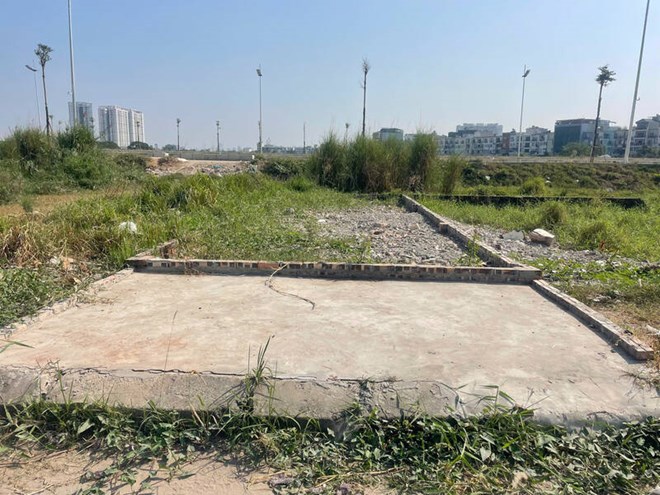 Many investors make big profits by investing in cheap land. Photo: Thu Giang