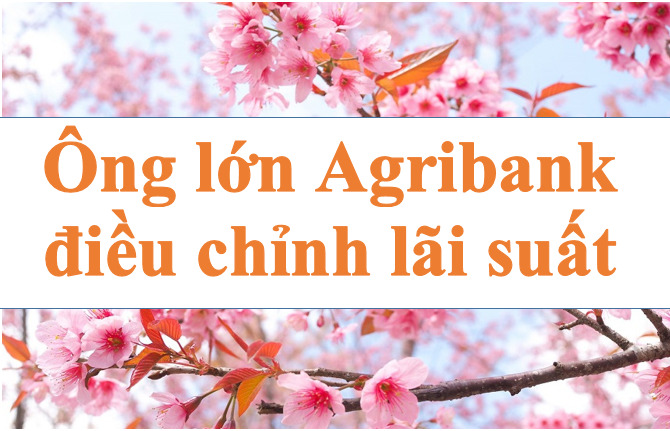 Agribank's interest rates have been adjusted strongly. Photo: Ha Vy