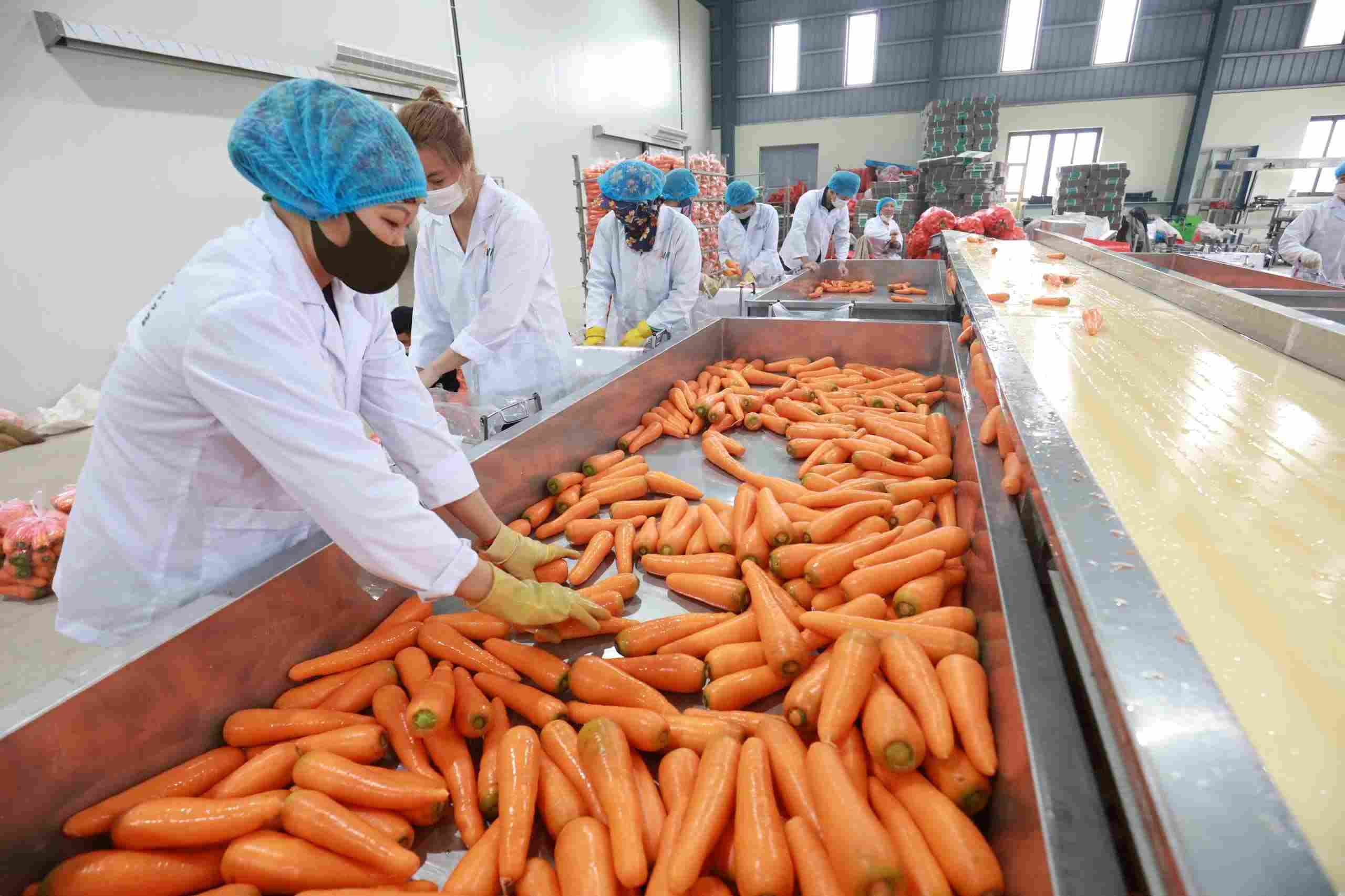 Businesses need solutions and response scenarios to avoid missing opportunities and maintain growth momentum. Photo: Hai Nguyen